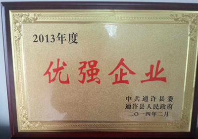 2013年度優(yōu)強企業(yè)